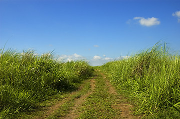 Image showing Dirt Road