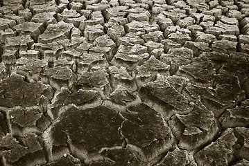 Image showing Drought