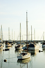 Image showing Sailboats