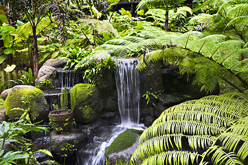 Image showing Waterfall