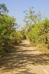 Image showing Dusty Road