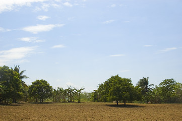 Image showing Newly tilled soil