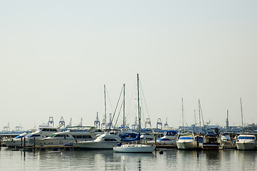 Image showing Sailboats