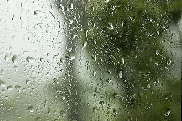 Image showing Rain Drops