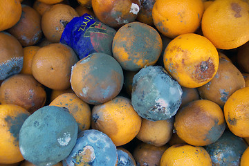 Image showing rotten oranges