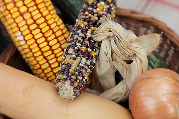 Image showing Autumn Harvest