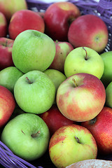 Image showing Apples