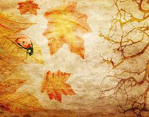 Image showing grunge abstract fall background