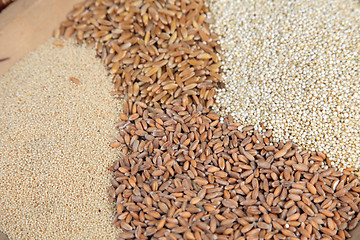 Image showing Background of different kinds of grains close up