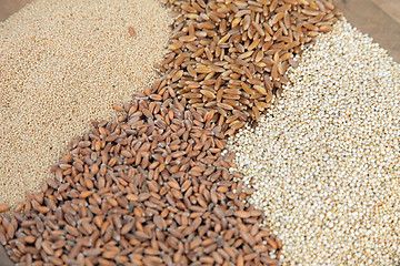 Image showing Background of different kinds of grains close up