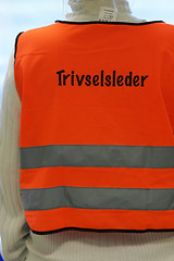 Image showing Trivselsleder