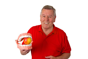 Image showing Male senior with teeth modell