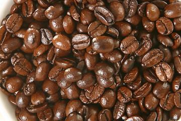 Image showing coffee beans