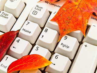 Image showing autumn keyboard 