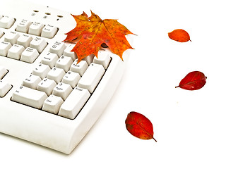 Image showing autumn keyboard 