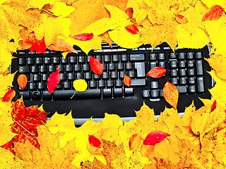 Image showing autumn keyboard