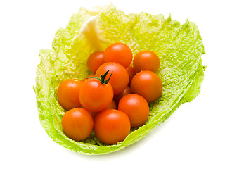 Image showing tomatoes in cabbage