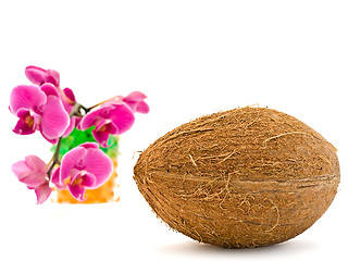 Image showing coconut and pink orchid