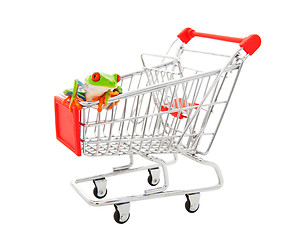 Image showing Pet Store Shopping Cart