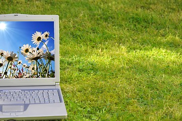 Image showing laptop and flower