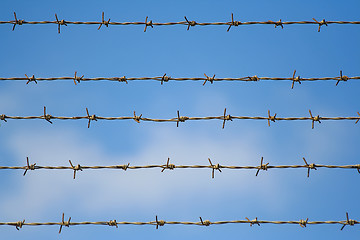 Image showing barbed wires