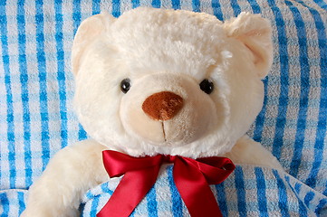 Image showing sick teddy bear