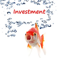 Image showing investment