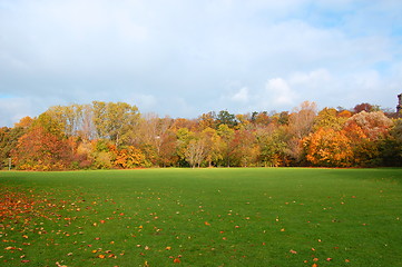 Image showing autumnal forest un der blue sky