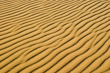 Image showing dune pattern