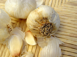 Image showing Garlic