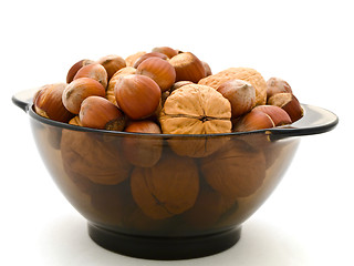 Image showing Hazelnuts and walnuts