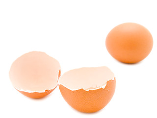 Image showing egg and shell