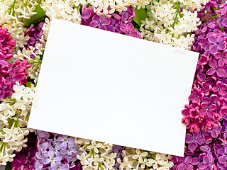 Image showing lilac background with invitation