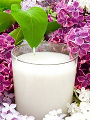 Image showing milk and lilac