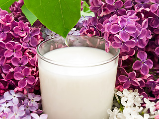 Image showing  lilac flower and milk