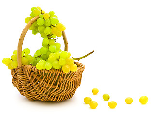 Image showing grape in basket