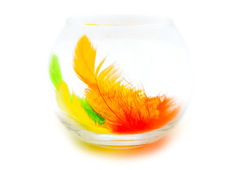 Image showing feathers in the glass