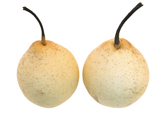 Image showing pears