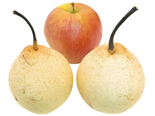 Image showing pears