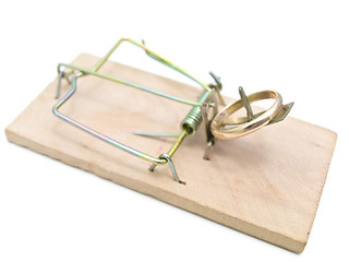 Image showing mousetrap