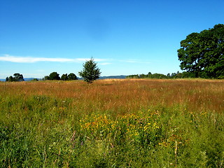 Image showing Summertime and the living is easy..