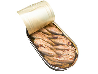 Image showing sprat