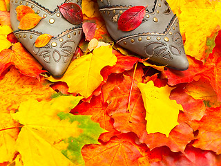 Image showing autumn leaves and shoes