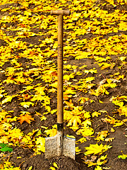 Image showing shovel in ground