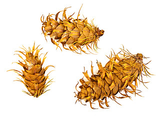 Image showing three cones
