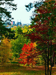 Image showing Urban autumn