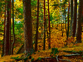 Image showing Autumn stairs