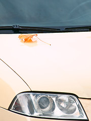 Image showing headlight and leaf at bonnet