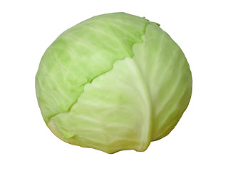 Image showing cabbage