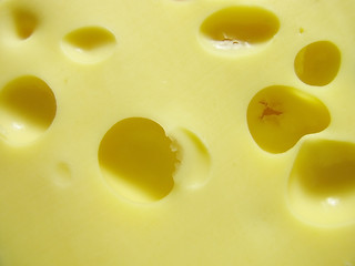 Image showing cheese